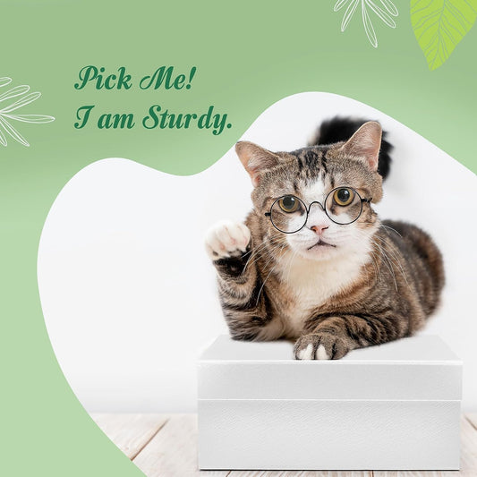 8x8x4" Inch Magnetic Gift Boxes